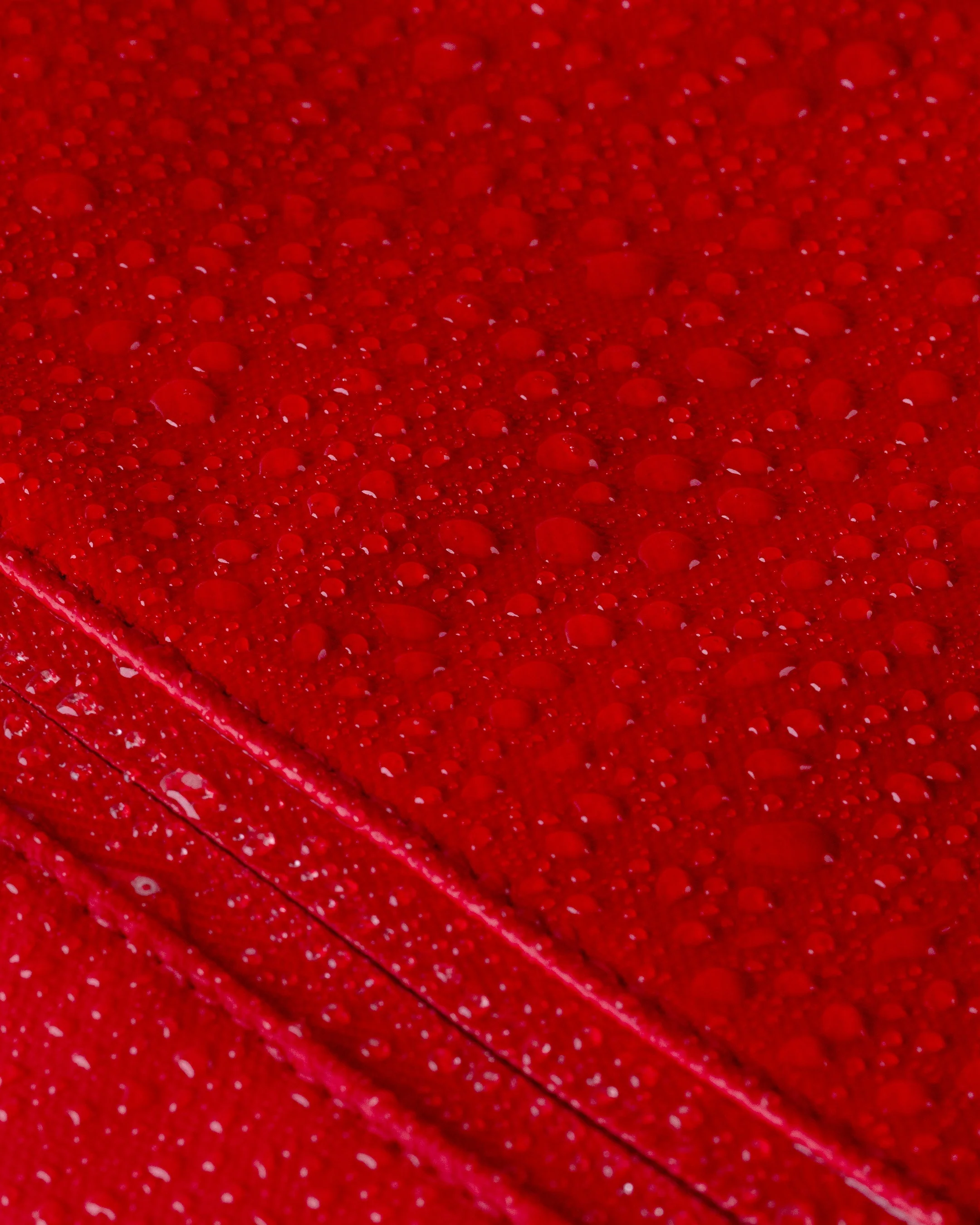 Cascade 21L Backpack - Standard - Image 101