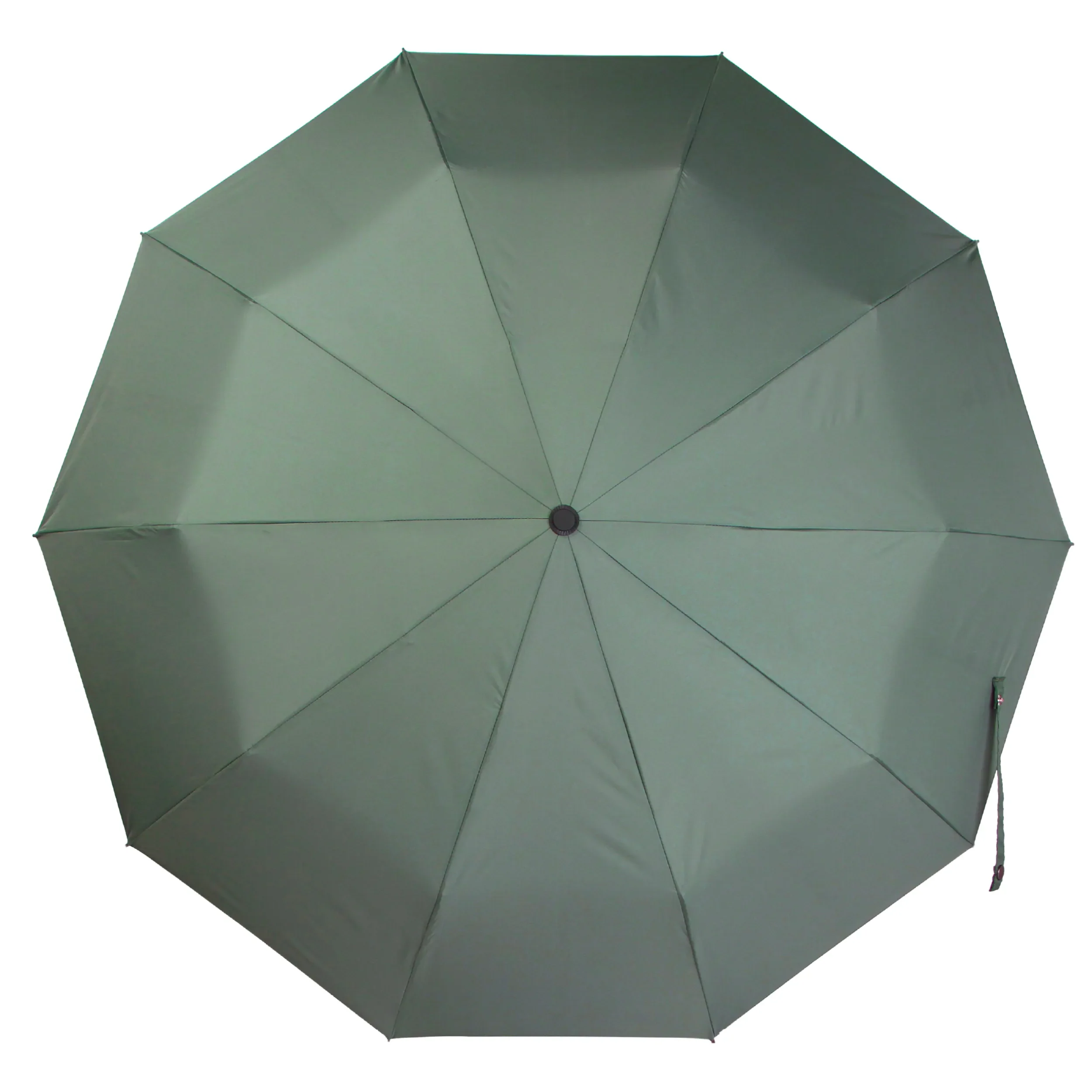 EVERYDAY | Umbrella with Never-Forget Carabiner Handle - Image 17