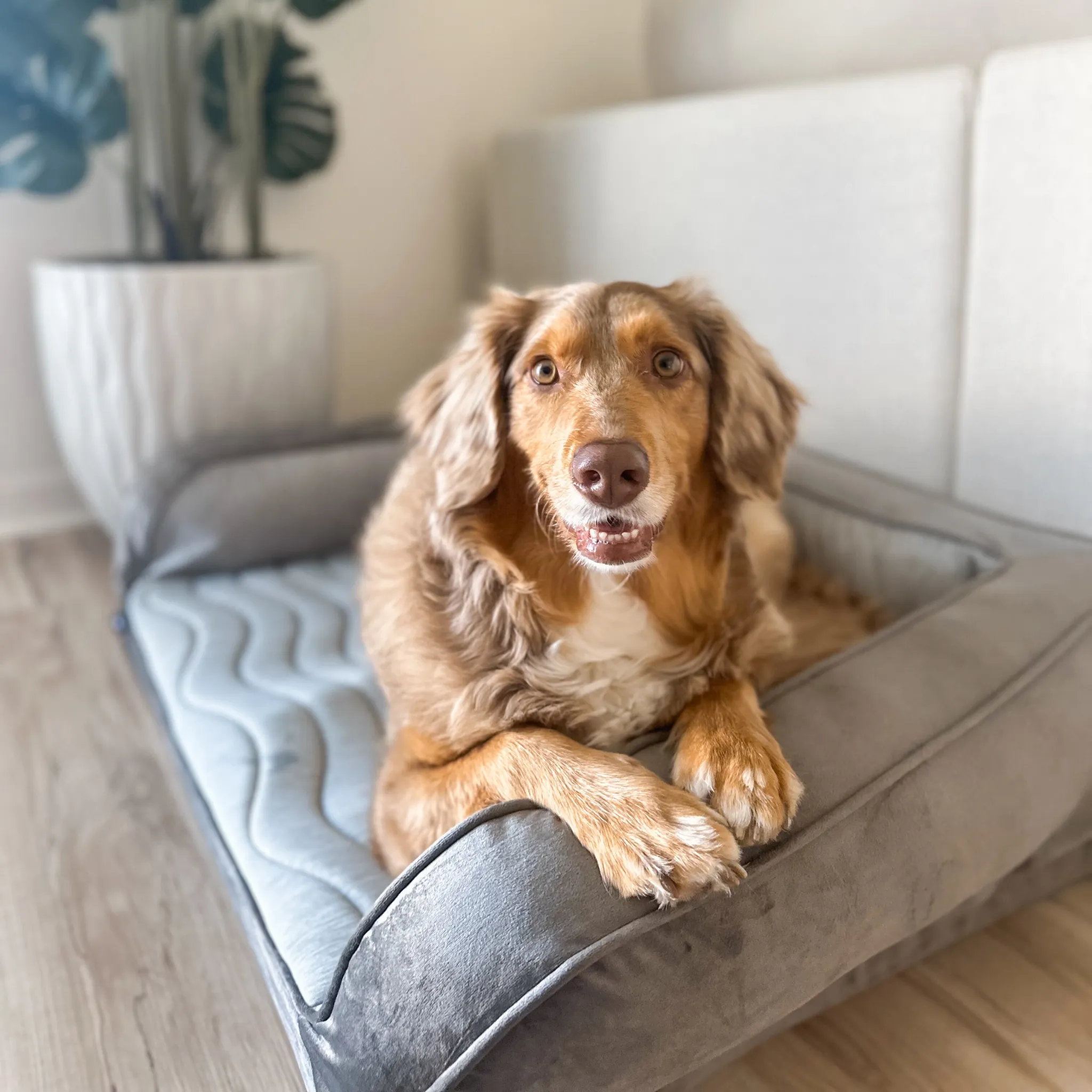 PupChill™ Cooling Bolster Dog Bed - Image 8