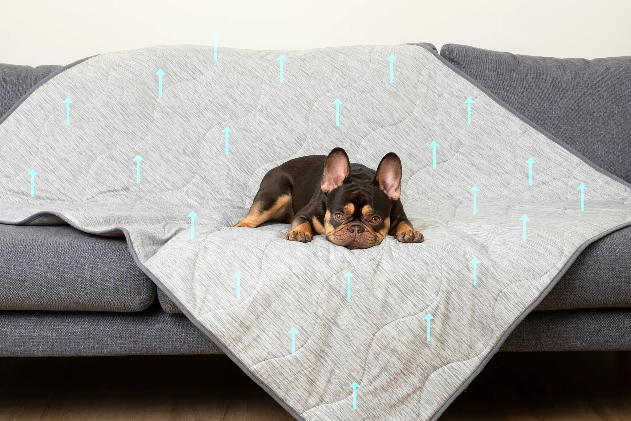 PupChill™ Cooling Waterproof Blanket - Arctic Grey - Image 15