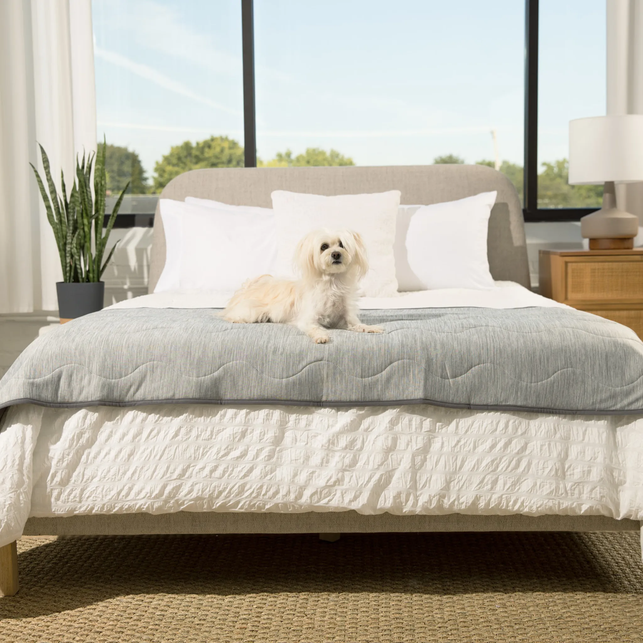 PupChill™ Cooling Waterproof Runner Blanket - Arctic Grey - Image 4