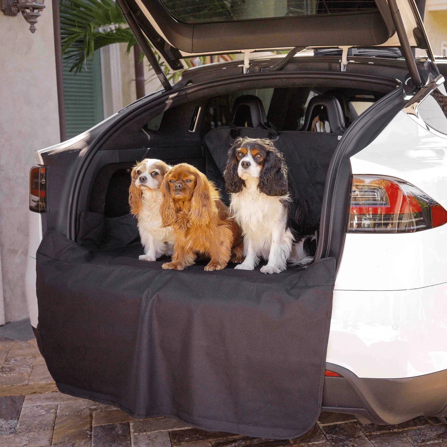 PupProtector™ Cargo Cover Liner for SUVs and Cars - Image 4