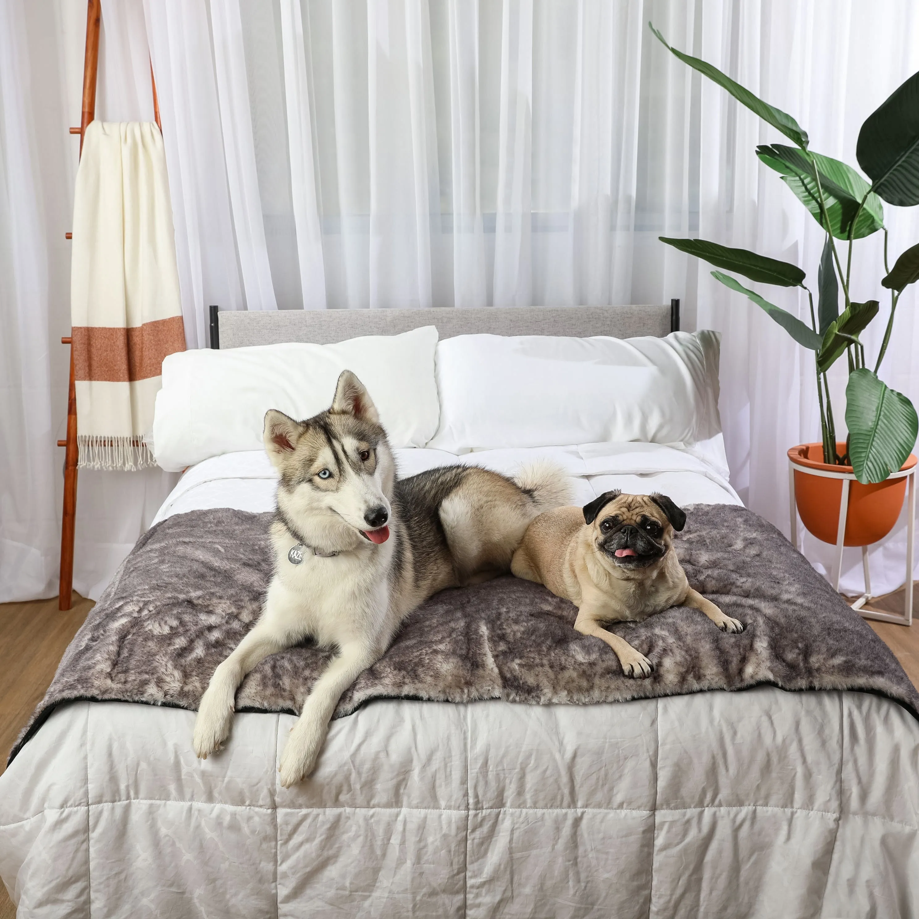 PupProtector™ Luxe Waterproof Bed Runner - Ultra Soft Chinchilla - Image 4