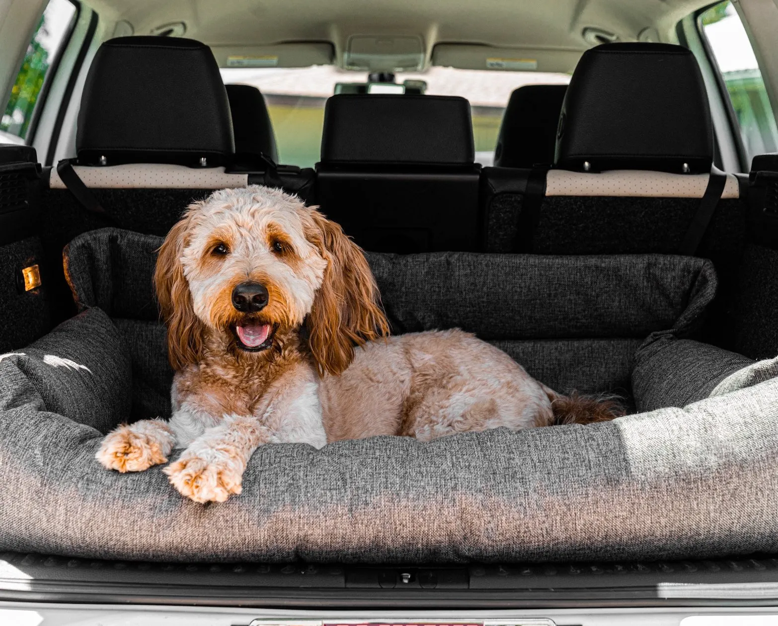 PupProtector™ Memory Foam Dog Car Bed - Image 17