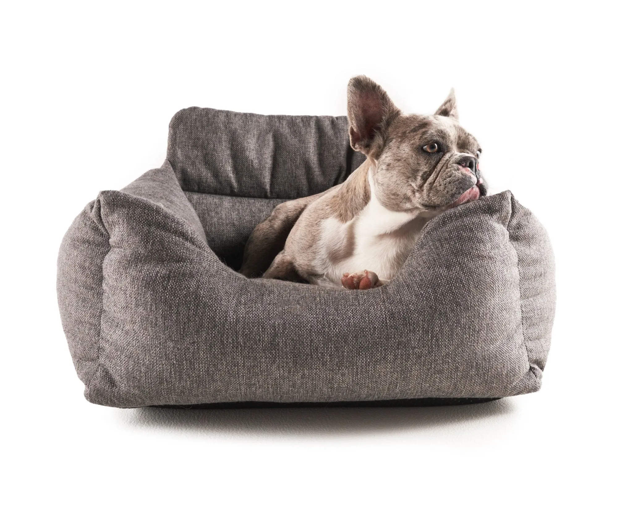 PupProtector™ Memory Foam Dog Car Bed - Image 21
