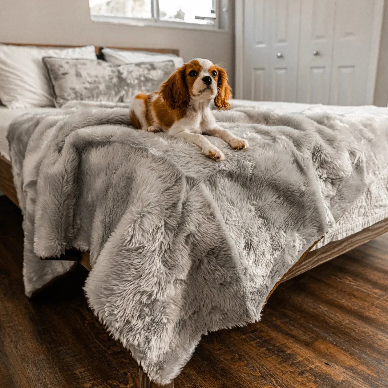 PupProtector™ Short Fur Waterproof Throw Blanket - Grey - Image 2