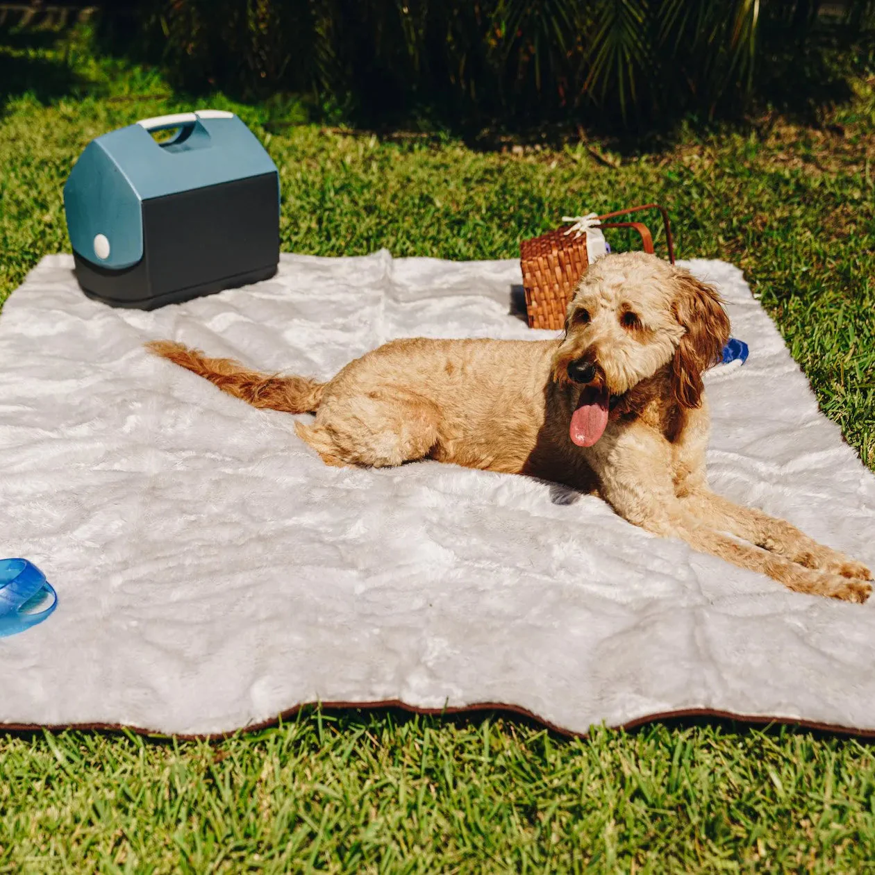 PupProtector™ Short Fur Waterproof Throw Blanket - Grey - Image 4