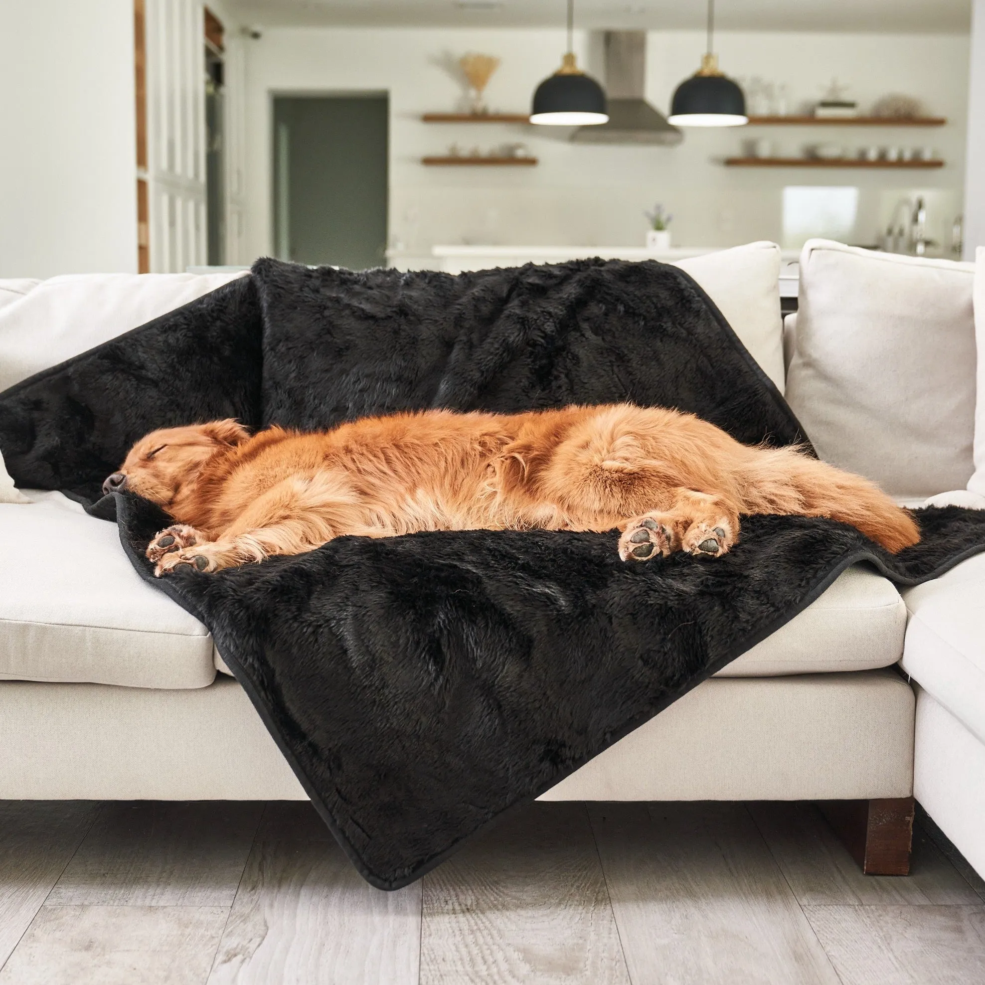 PupProtector™ Short Fur Waterproof Throw Blanket - Midnight Black - Image 3