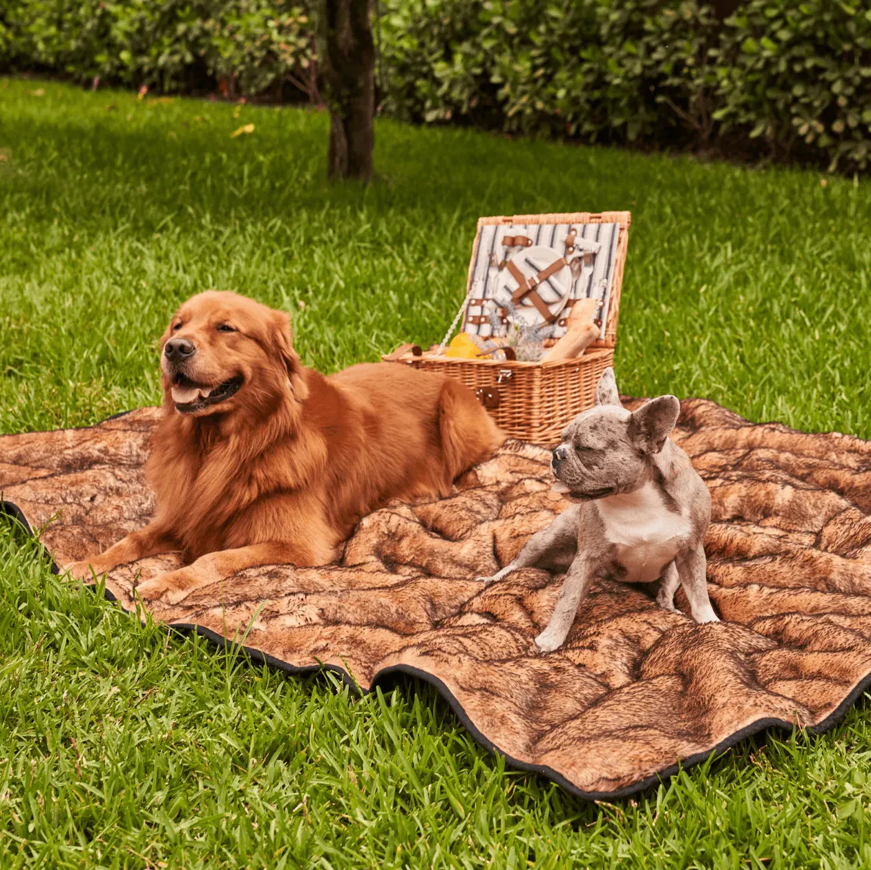 PupProtector™ Short Fur Waterproof Throw Blanket - Sable Tan - Image 12