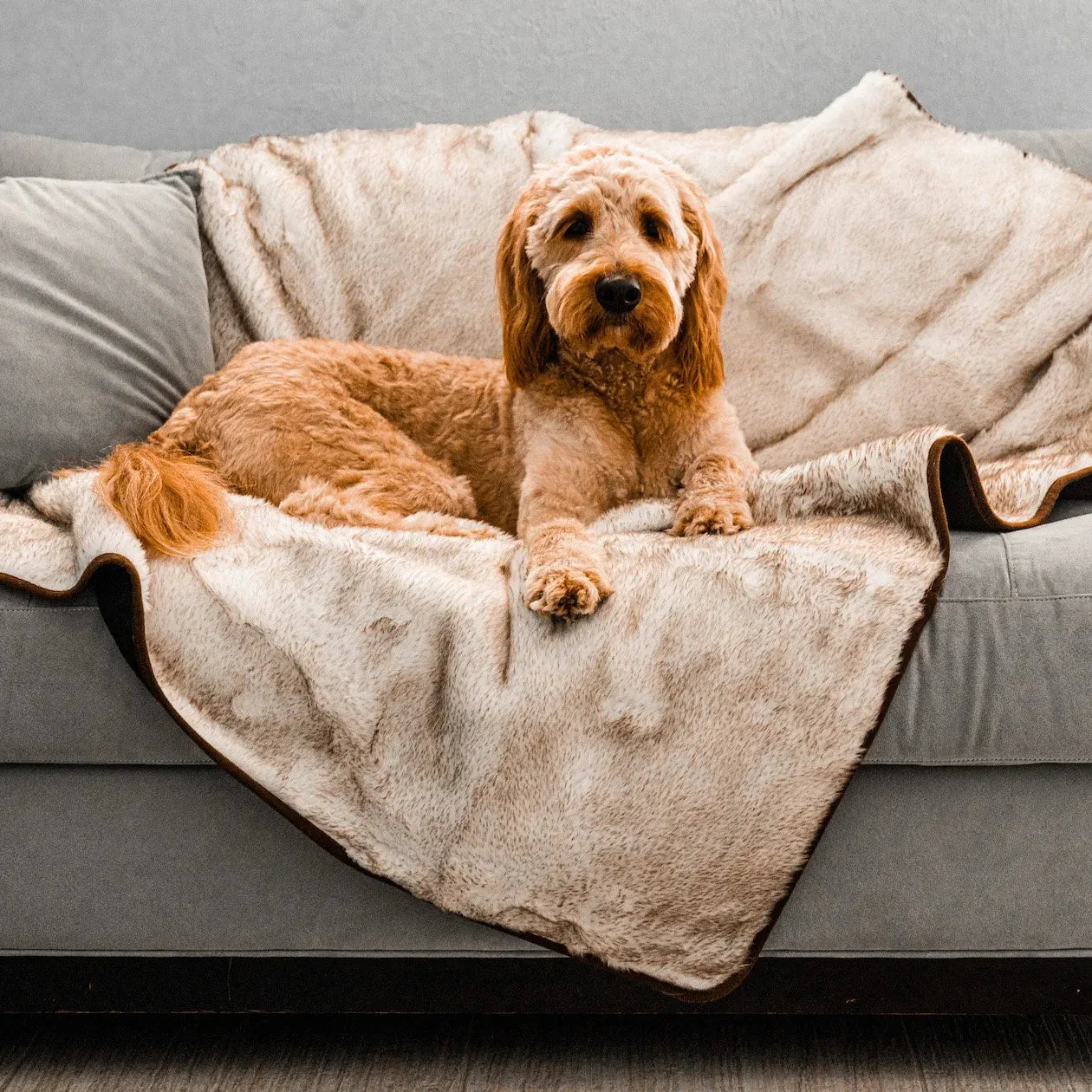 PupProtector™ Short Fur Waterproof Throw Blanket - White with Brown Accents - Image 2