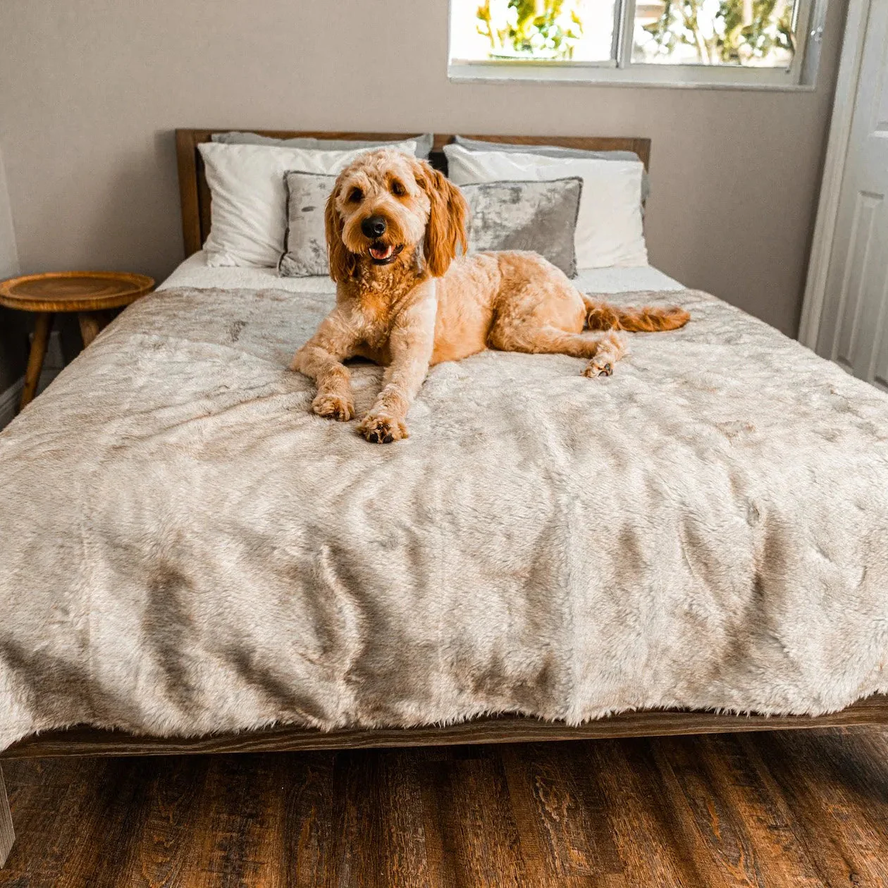 PupProtector™ Short Fur Waterproof Throw Blanket - White with Brown Accents - Image 6
