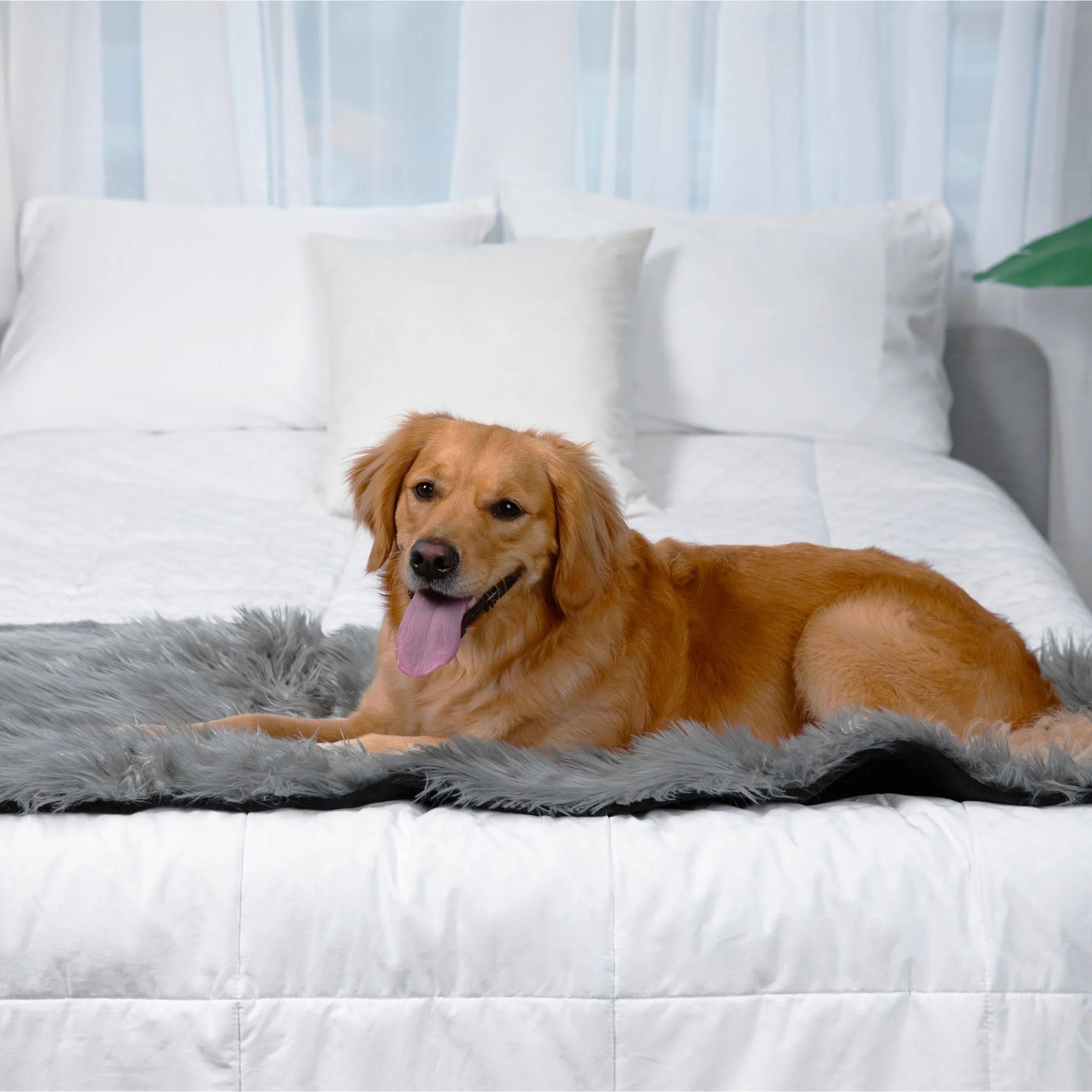 PupProtector™ Waterproof Bed Runner - Charcoal Grey - Image 9