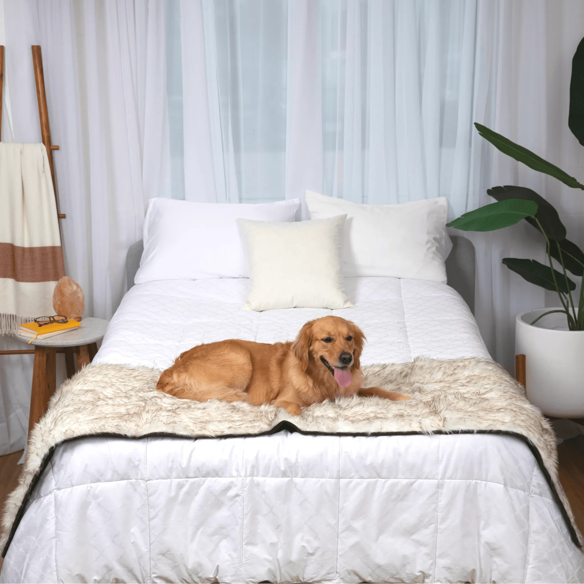 PupProtector™ Waterproof Bed Runner - White with Brown Accents - Image 2