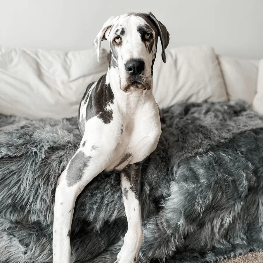 PupProtector™ Waterproof Throw Blanket - Charcoal Grey - Image 10