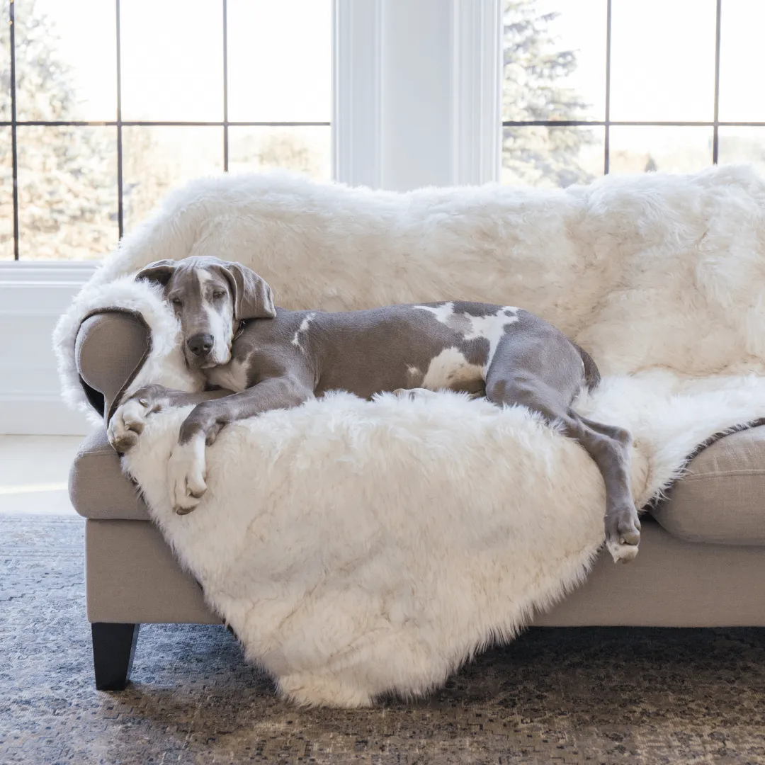PupProtector™ Waterproof Throw Blanket - White with Brown Accents - Image 3