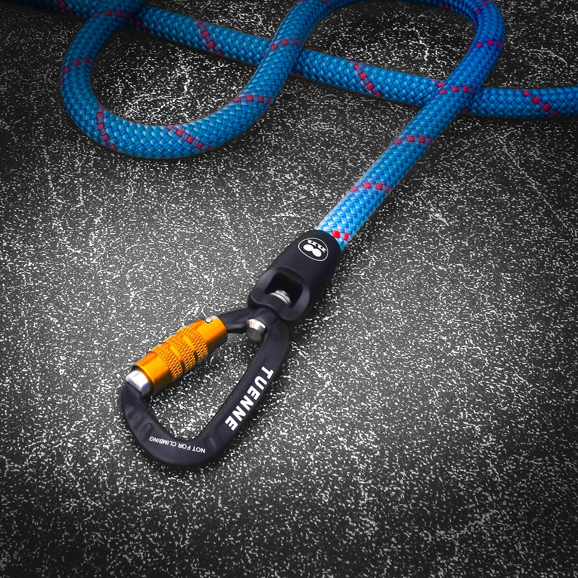 Rope Dog Leash with Auto-Locking Carabiner – 9.8mm Mammut Dry-Treated | Ice Storm Blue - Image 2