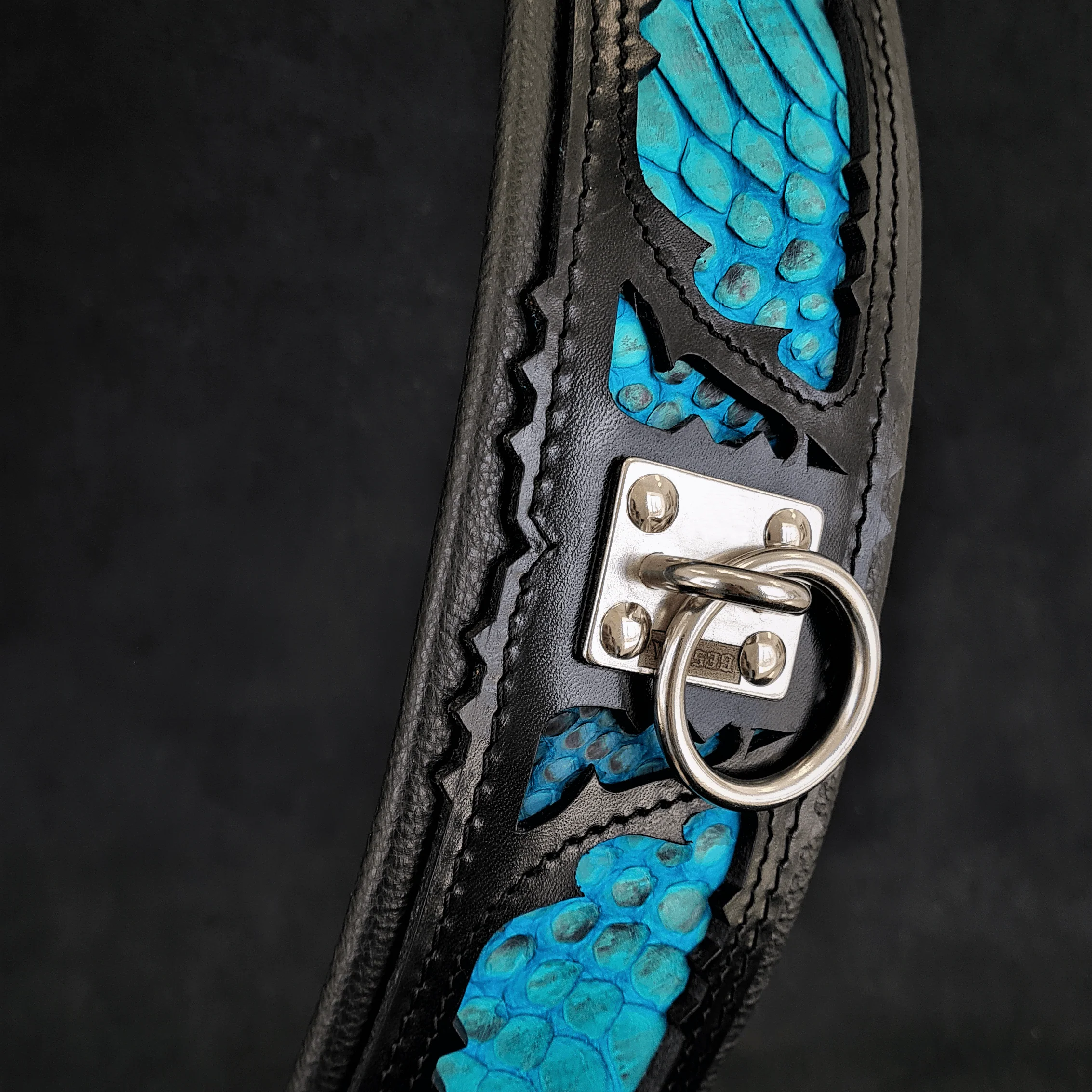 The "Morelia Python" Dog Collar