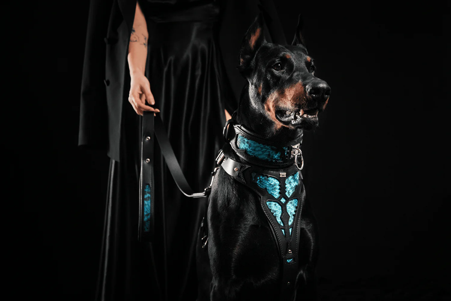 The "Morelia Python" Dog Harness - Image 5